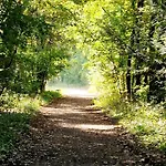 Lägenhet Adlerhorst In Eversen-heide