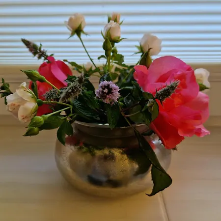 Adlerhorst In Eversen-heide Eversen