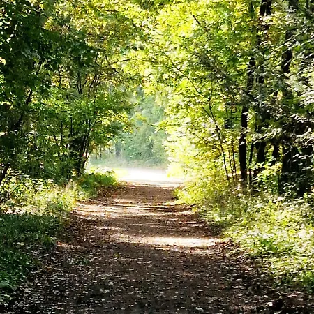 아파트 Adlerhorst In Eversen-heide