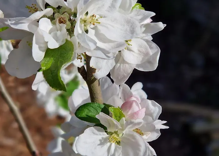 Adlerhorst In Eversen-heide Apartamento *