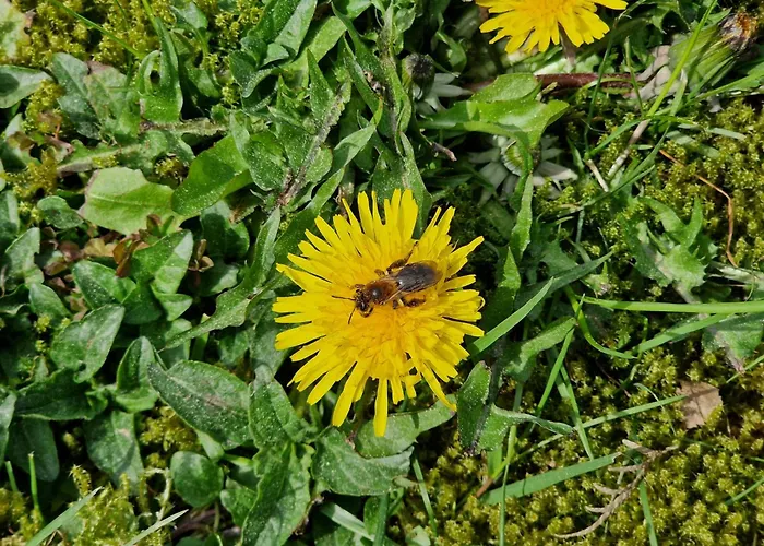 Adlerhorst In Eversen-heide Apartamento *