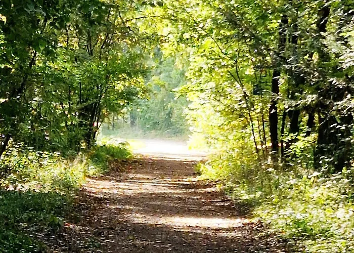 Apartamento Adlerhorst In Eversen-heide